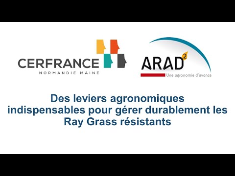 Vidéo: Cultures de couverture de ray-grass : comment et quand planter le ray-grass annuel