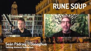 Talking Animist Herbalism | Seán Pádraig ODonoghue