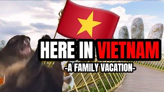CAT MEMES: HERE IN VIETNAM PT.2 by OhCrayZ 8,069 views 1 day ago 4 minutes, 28 seconds