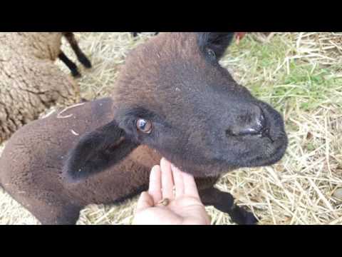 Casa Rico Frade Hotel In São Pedro Do Corval Portugal