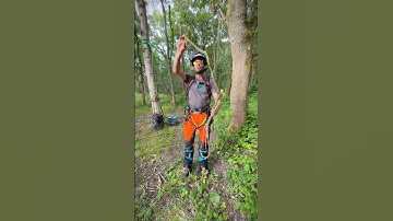 The Fishing Pole Effect in Tree Work and Rigging #rigging #arborist #treework