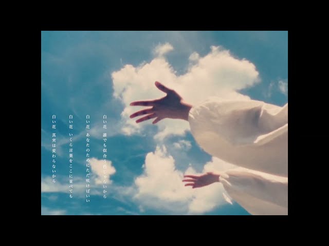 白い花声にならないよ