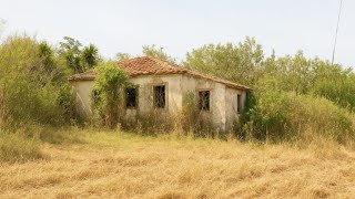 Idosa Chama O Genro Pro Quarto, Enquanto A Filha Está No Banho, Mas De Repente Um Barulho Muda Tudo