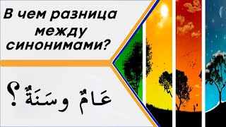 В чем разница между словами (عَامٌ وسَنَةٌ) в значении - год?