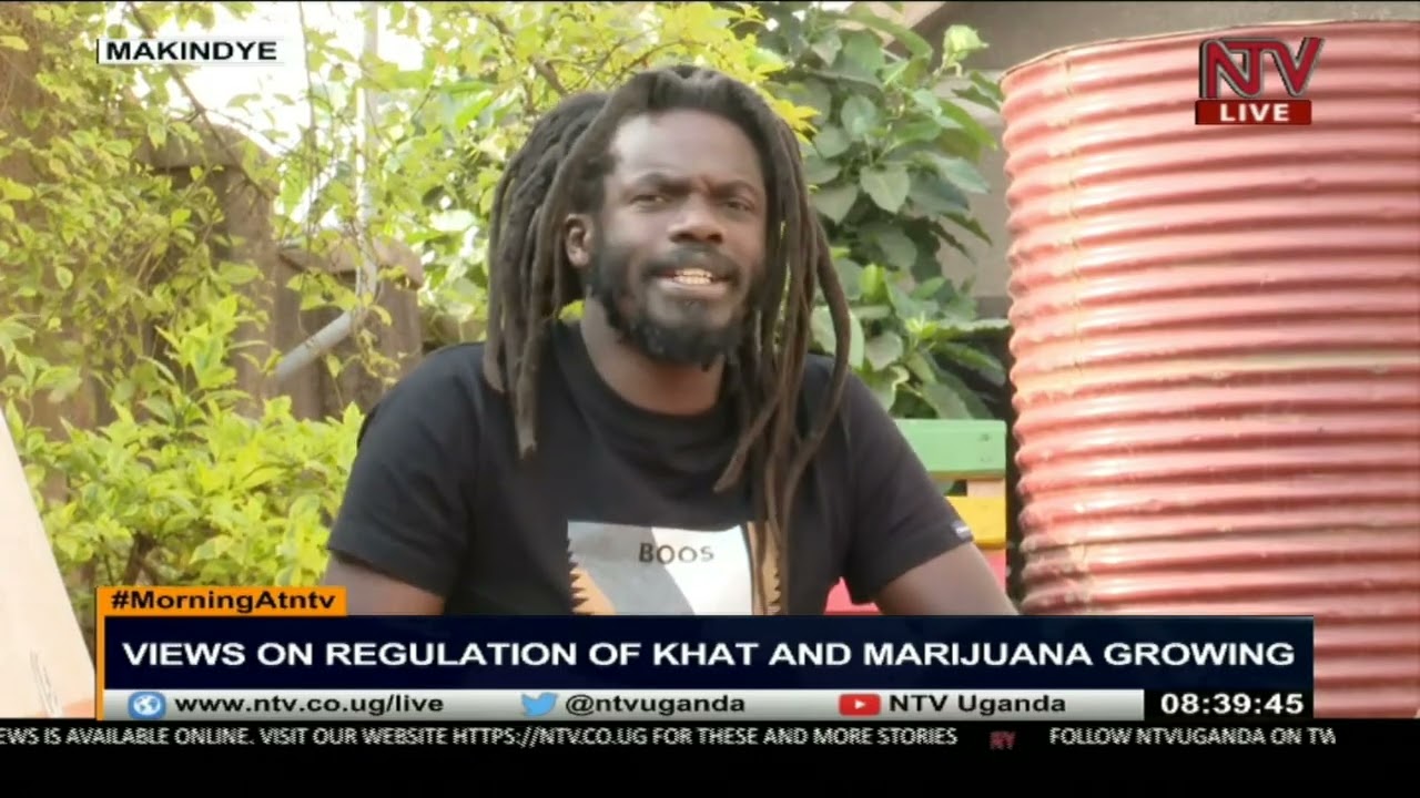 Buchaman's view on the regulation of khat and marijuana growing | MORNING AT NTV