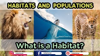 Habitats and Populations | Grade 3 Science | Animals and Their Habitats | Grasslands | Terrestrial