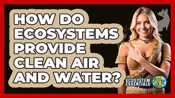 How Do Ecosystems Provide Clean Air And Water? - Ecosystem Essentials