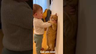 Funny Cute Cat Moments That Will Make You Smile! #Shorts#cats