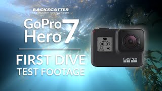 Gopro hero 7 black edition learn more about the camera here:
https://www.backscatter.com/reviews/post/gopro-hero7-underwater-camera-review
first dive - test ...