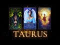 TAURUS ‼️ TODAY WILL BE YOUR LAST DAY😱 PAY ATTENTION TO THE PHONE 🚨📞 TAURUS 2024 TAROT LOVE READING