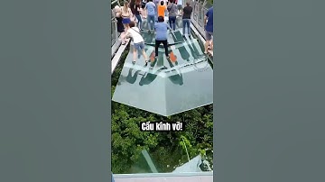 Điều Gì Xảy Ra Nếu Cầu Kính Khổng Lồ Bị Vỡ? 😨