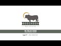 Lot 7 AH 220131 