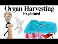 Organ Harvesting Explained