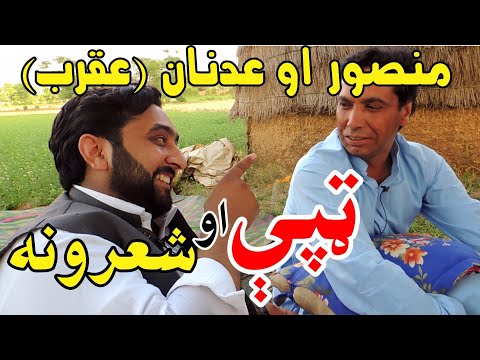 Mansoor Aw Adnan Aqrab Tappy Aw Sherona Pk Vens عدنان صدیقي او منصور
