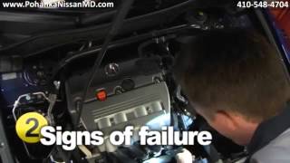 NISSAN Exhaust System Maintenance Service Education Pohanka Nissan of Salisbury Maryland Exhaust System Maintenance Service Education Nissan