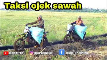 Perjuangan Ojek taksi gabah bugis soppeng sulawesi selatan meski BBM naik