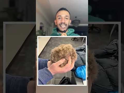 The Most Expensive And Strangest Substance You Ll Ever See In Your Life