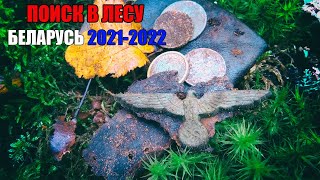 ПОИСК В ЛЕСУ ВРЕМЁН ВОВ ПО НЕМЕЦКИМ ПОЗИЦИЯМ. БЕЛАРУСЬ 2021-2022