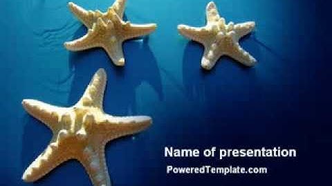 Starfish Background PowerPoint Template by PoweredTemplate.com