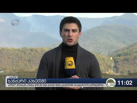 კახეთში, სოფელ ართანაში მეორე დღეა ხანძარია