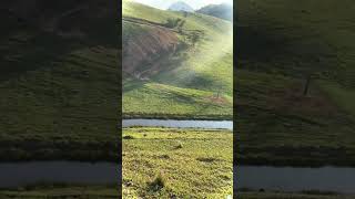This tire passed over a river when rolling down from the mountain #shorts Profile