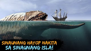 Mga Sinaunang Hayop Nakita sa Sinaunang isla!