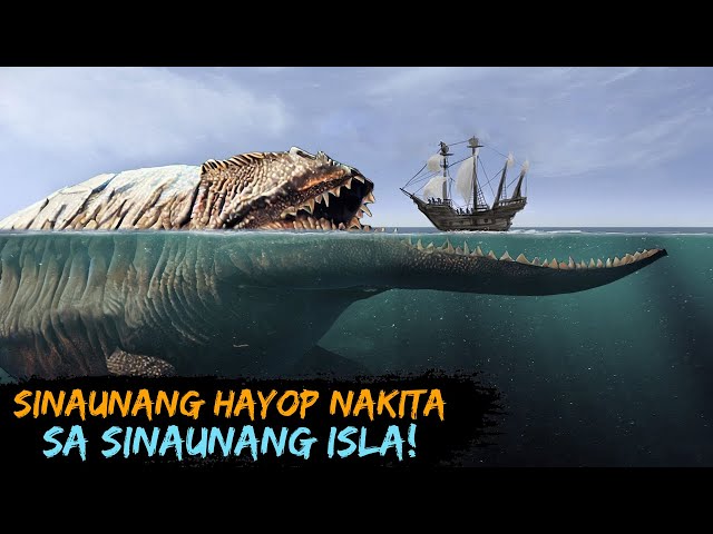 Mga Sinaunang Hayop Nakita sa Sinaunang isla! class=