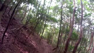 20130831 YO-LO 17