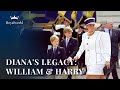 Princess dianas legacy prince william and prince harry  young royals