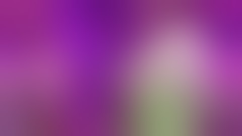 Mango Sapphire and Green Crack week 2 flower