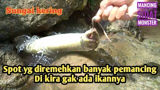 Cara menangkap ikan sidat di bawah bebatuan #mancing sidat