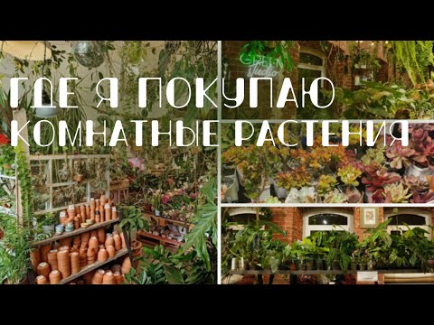 Где я покупаю