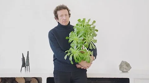 Collecting Art with Daniel Chadwick | Christie's