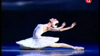 Video thumbnail of "The Dying Swan"