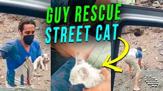 Guy Gets off Car Then Picks up a Street Cat to Rescue It Then Goes Back in Car
