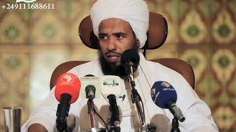 وقت قراءة سورة الكهف يوم الجمعة .. د. عبدالحي يوسف