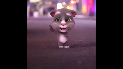 Nhảy theo điệu nhảy của các chú mèo nào các bạn ơi