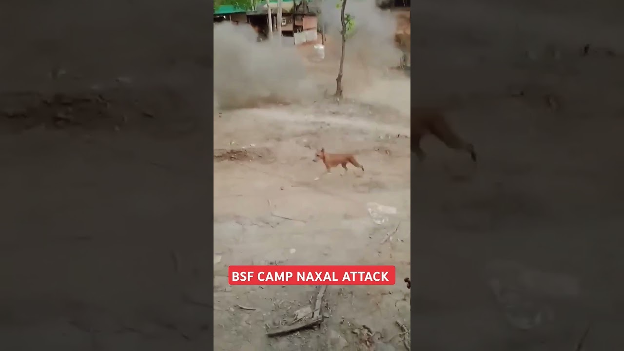 BSF camp naxal attack