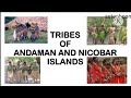 tribes of andaman and nicobar islands/ project on tribes of andaman and nicobar / andaman & nicobar