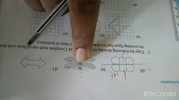 Class 6th, Maths, Chapter 13, Symmetry,  Exercise 13.3, video-3