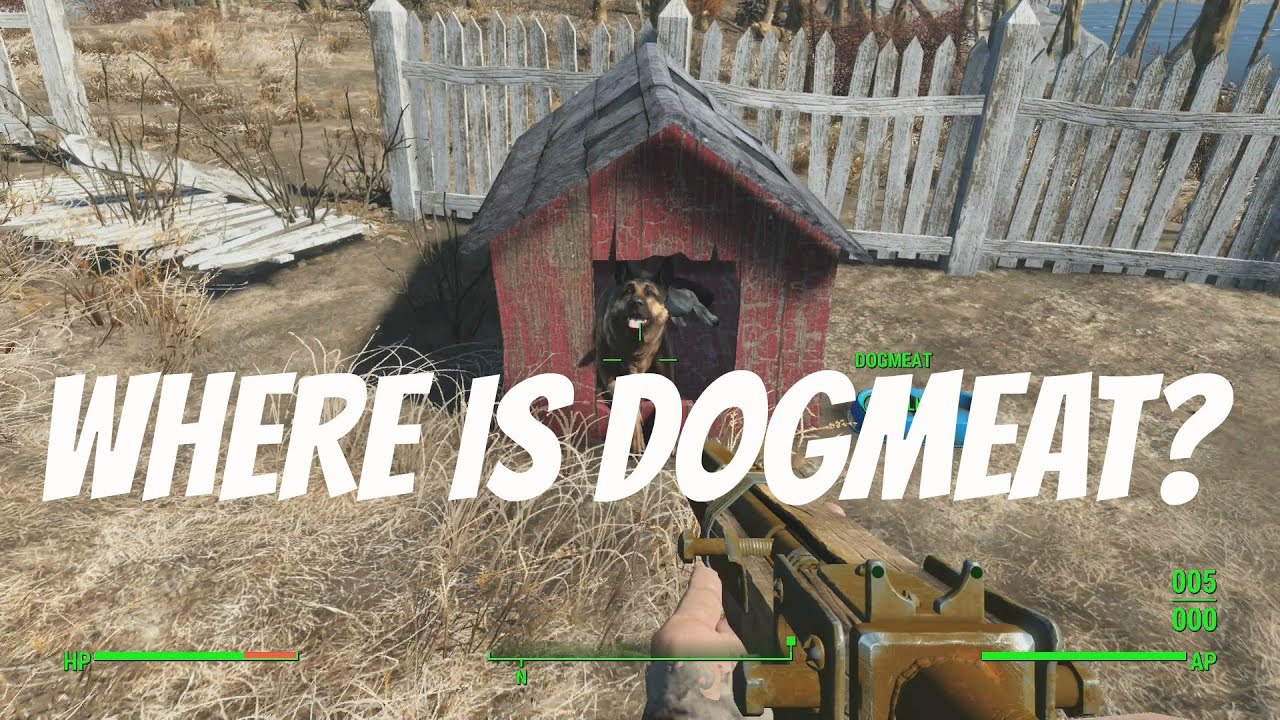 Fallout 4: WHERE IS DOGMEAT? - YouTube