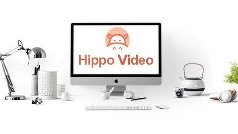 Hippo Video Demo