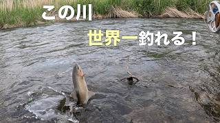 【北海道】世界一レベルの釣り場が日本にある衝撃!
