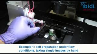 Ibidi Cells In Focus Introduction To The Ibidi Pump System