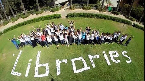 AUB Libraries Team Building Activity - Beirut Lebanon - ProMax