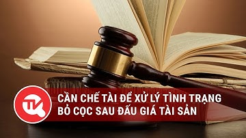 Cần chế tài để xử lý tình trạng bỏ cọc sau đấu giá tài sản | Truyền hình Quốc hội Việt Nam