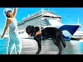 My Guide Dog Goes on a NEW CRUISE SHIP for the First Time!!