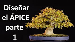 EL ÁPICE del BONSAI parte 1