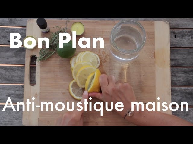 Bon Plan - Bougie anti-moustique maison - YouTube