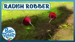 @OfficialPeterRabbit- 🕵️‍♂️👀 Who is the Raddish Robber?! 🕵️‍♂️👀 | Cartoons for Kids